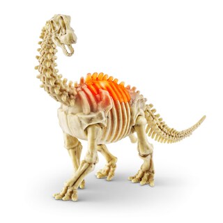 Foto 4 | Foto 4 | Toy Robo Alive Mini Dino Fossil Find (paquete De 2) Zuru Boys 5+ - Venta Internacional.