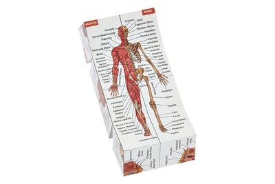 Foto 6 | Foto 6 | Kits De Medicina Anatomy Study Cube De 7 X 7 Cm 9 Partes Del Cuerpo - Venta Internacional.