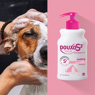 Foto 3 | Foto 3 | Champú Douxo S3 Calm 500 Ml Para Perros Y Gatos Con Picazón En La Piel - Venta Internacional.
