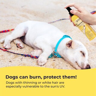 Foto 3 | Foto 3 | Protector Solar Gentle Creatures Dog Spf 30+ Con Vitamina E 60 Ml - Venta Internacional.