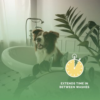 Foto 7 | Foto 7 | Colonia De Aseo Para Mascotas Bark2basics Salon Scents 240 Ml Para Perros - Venta Internacional.