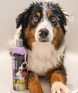 Foto 5 | Foto 5 | Champú Shed Control Synergylabs Shed-x Para Perros 473 Ml - Venta Internacional.