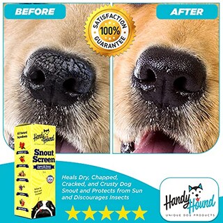 Foto 3 | Foto 3 | Protector Nasal Bundle Handy Hound Paw Butter Para Nariz De Perro - Venta Internacional.