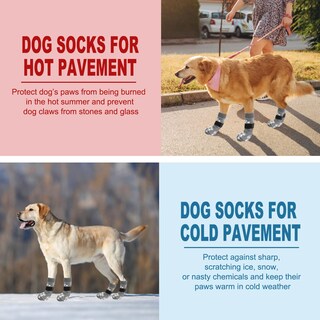 Foto 6 | Foto 6 | Calcetines Para Perros Expawlorer Antideslizantes Que Evitan Lamerse Las Patas Para Perros - Venta Internacional.