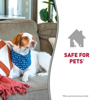 Foto 7 | Foto 7 | Toallitas De Baño Desodorizantes Nature's Miracle Para Perros 100 Unidades - Venta Internacional.