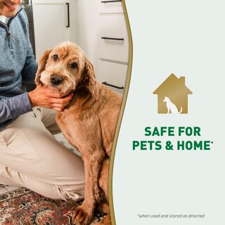 Foto 7 | Foto 7 | Destroyer De Orina Nature's Miracle Para Perros 1 89 L Con Pulverizador - Venta Internacional.
