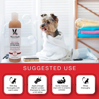 Foto 4 | Foto 4 | Champú Y Acondicionador Para Perros Warren London Butter 240 Ml - Venta Internacional.