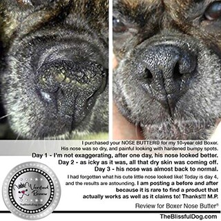 Foto 5 | Foto 5 | Manteca Nasal The Blissful Dog Brindle Boxer Sin Perfume 60 Ml - Venta Internacional.