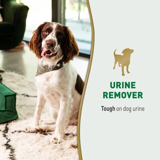 Foto 2 | Foto 2 | Extractor De Orina Para Perros Nature's Miracle Fórmula Enzimática De 3 8 Litros - Venta Internacional.
