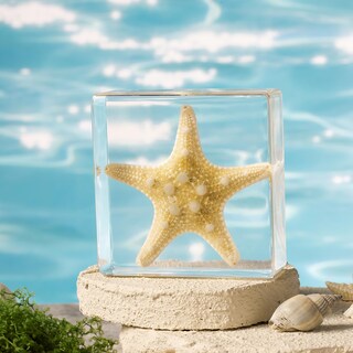 Foto 7 | Foto 7 | Espécimen De Estrella De Mar En Resina Taxidermia Pokiphip For Science - Venta Internacional.