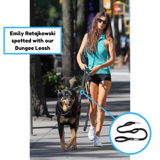 Foto 7 | Foto 7 | Correa Elástica Para Perros Shed Defender Que Absorbe Los Golpes Con 3 Asas - Venta Internacional.