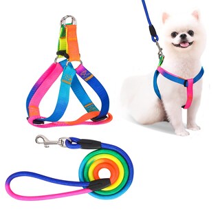 Foto 1 | Foto 1 | Set De Arnés Y Correa Para Perros Petshome Ajustable De Nailon Arcoíris - Venta Internacional.