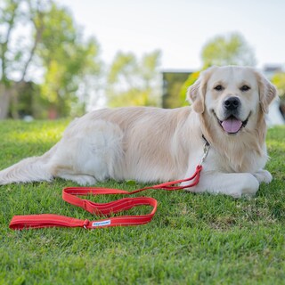 Foto 2 | Foto 2 | Correa Para Perros Shed Defender De 5 Pies Con 3 Asas De Tráfico Acolchadas Color Rojo - Venta Internacional.
