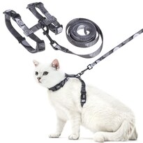 Set De Arnés Y Correa Para Gatos Pupteck Ajustable Gris Oscuro - Venta Internacional.