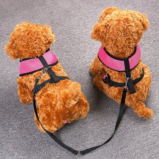 Foto 1 | Foto 1 | Correa De Perro Doble Y Duradera Que No Se Enreda Para 2 Perros Cozycabin - Venta Internacional.