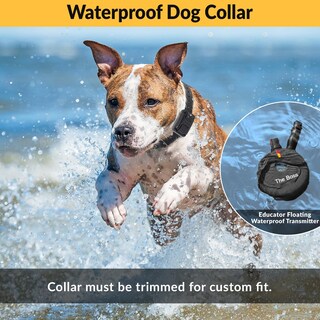 Foto 5 | Foto 5 | Collar De Adiestramiento Para Perros Educator E-collar Humane Alcance 1 Milla - Venta Internacional.