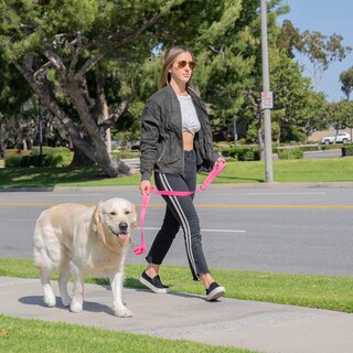 Foto 3 | Foto 3 | Protector De Cobertizo Para Perros Con 3 Asas De Tráfico Acolchadas Color Rosa - Venta Internacional.