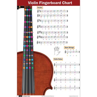 Foto 1 | Foto 1 | Tabla De Digitación De Violines Qmg Aprenda Técnicas De Escalas - Venta Internacional.
