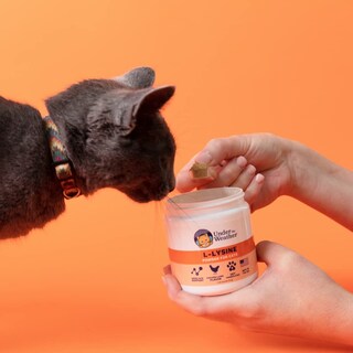 Foto 3 | Foto 3 | Suplemento Under The Weather L-lisina En Polvo Para Gatos 75 Ml - Venta Internacional.