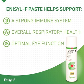 Foto 2 | Foto 2 | Suplemento De L-lisina Vetoquinol Enisyl-f Pasta Oral 100 Ml - Venta Internacional.