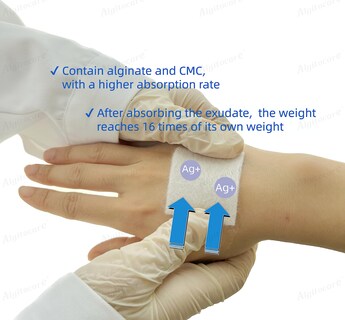 Foto 2 | Foto 2 | Apósito Para Heridas Algitocare Ag Alginato De Plata Y Calcio 2 X 2 Cm - Venta Internacional.