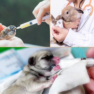 Foto 6 | Foto 6 | Jeringa De Alimentación De Plástico Jiayoushot 20 Ml (paquete De 15) - Venta Internacional.