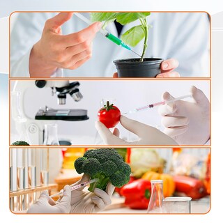 Foto 6 | Foto 6 | Jeringas De Laboratorio Med Needle 1 Ml/cc U-100 31 G 6 Mm Paquete De 100 - Venta Internacional.