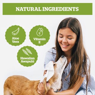 Foto 2 | Foto 2 | Toallitas De Aseo Para Perros Pogi's 400 Limpiadoras Y Desodorizantes Para Perros - Venta Internacional.