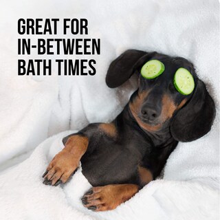 Foto 2 | Foto 2 | Desodorante En Spray Natural Rapport Para Perros Entre Baños - Venta Internacional.