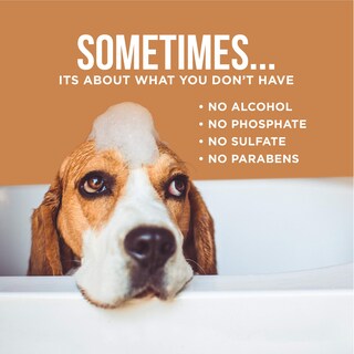 Foto 5 | Foto 5 | Desodorante En Spray Natural Rapport Para Perros Entre Baños - Venta Internacional.