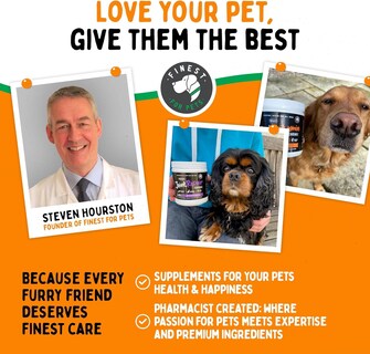 Foto 6 | Foto 6 | El Mejor Polvo Probiótico Para Mascotas Tummyworks Perros Y Gatos - Venta Internacional.