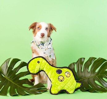 Foto 5 | Foto 5 | Juguete Para Perros Zippypaws Con Puntada En Z Grunterz Durable Squeaky Donny - Venta Internacional.