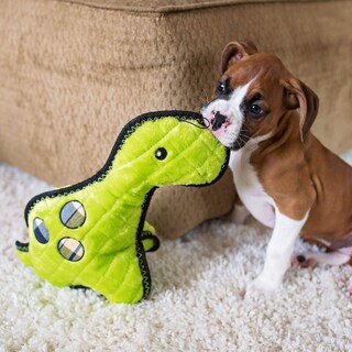 Foto 6 | Foto 6 | Juguete Para Perros Zippypaws Con Puntada En Z Grunterz Durable Squeaky Donny - Venta Internacional.