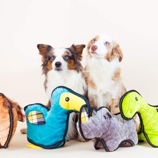 Foto 7 | Foto 7 | Juguete Para Perros Zippypaws Con Puntada En Z Grunterz Durable Squeaky Donny - Venta Internacional.