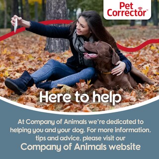 Foto 5 | Foto 5 | Corrector Para Mascotas Dog Trainer 30 Ml Detiene Los Ladridos Y Los Saltos - Venta Internacional.