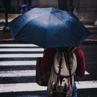 Foto 7 | Foto 7 | Paraguas Pumi-geous Con Mango De Madera Automático  Resistente Al Viento  Negro - Venta Internacional.