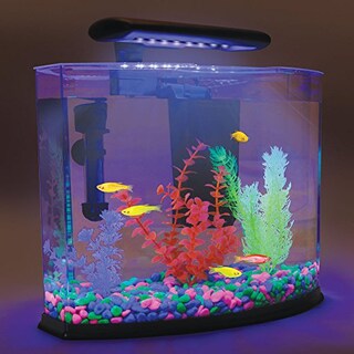 Foto 4 | Foto 4 | Guijarros Oubest 200 Que Brillan En La Oscuridad Multicolor - Venta Internacional.