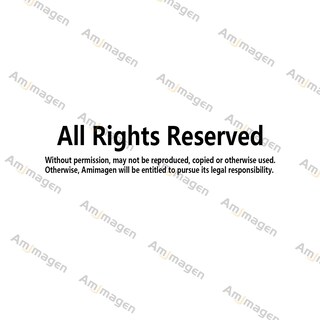 Foto 6 | Foto 6 | Adhesivos De Pared Amimagen Con Diseño De Unicornio Arcoíris Globo Aerostático Para Niñas - Venta Internacional.