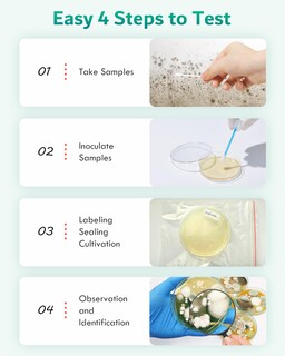 Foto 4 | Foto 4 | Kit De Prueba De Moho Enesnes Para El Hogar - 12 Pruebas De Detección Y Guía - Venta Internacional.