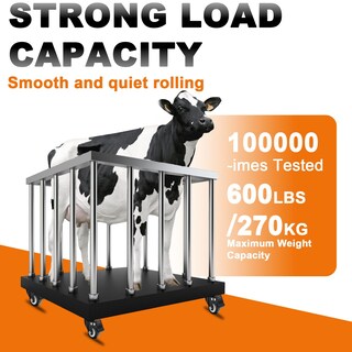 Foto 3 | Foto 3 | Ruedas Giratorias Msh&hce Heavy Duty De 2 Pulgadas Con Tapón De Freno De 600 Libras. - Venta Internacional.