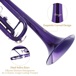 Foto 6 | Foto 6 | Trompeta Lexington Tp8001 Bb Student Con Funda Varilla Y Tela Color Morado - Venta Internacional.