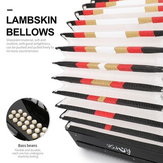 Foto 2 | Foto 2 | Accordion Horse 31 Teclas 12 Bajos 3 Filas Clave Fbe Diatónica - Venta Internacional.