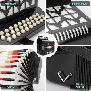 Foto 4 | Foto 4 | Accordion Horse 31 Teclas 12 Bajos 3 Filas Clave Fbe Diatónica - Venta Internacional.