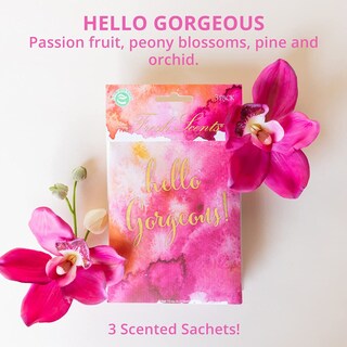Foto 3 | Foto 3 | Bolsita Aromática Willowbrook Fresh Scents Hello Gorgeous Paquete De 6 - Venta Internacional.