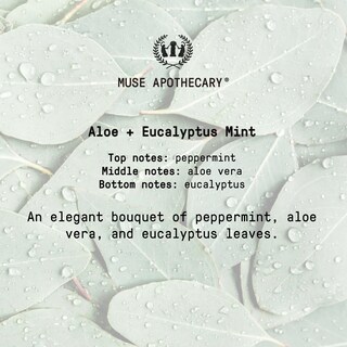 Foto 2 | Foto 2 | Room Mist Muse Apothecary Study Ritual Aloe Eucalipto Y Menta 240 Ml - Venta Internacional.