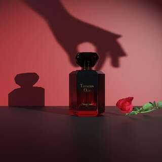 Foto 2 | Foto 2 | Perfume Diane Castel Tentation Oud Eau De Parfum Para Mujer 100 Ml - Venta Internacional.