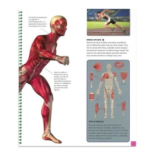 Foto 4 | Foto 4 | Libro Infantil Explora El Cuerpo Humano (espiralado)