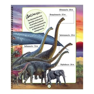 Foto 4 | Foto 4 | Explora Los Dinosaurios