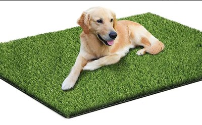 Foto 1 | Foto 1 | Entrenador Tapete Pasto Perro Lavable Y Transpirable 90x70cm