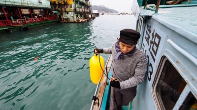 Foto 3 | Foto 3 | Guardabarros Polyform G-2 Blanco De 11 X 39 Cm Para Barcos De 3 A 6 M - Venta Internacional.